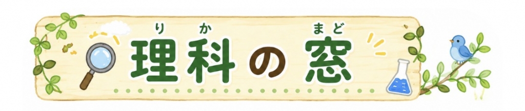 理科のまど